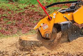 Best Arborist Consultation Services  in Basking Ridge, NJ